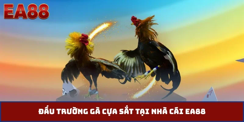 Đấu trường gà cựa sắt tại nhà cái EA88