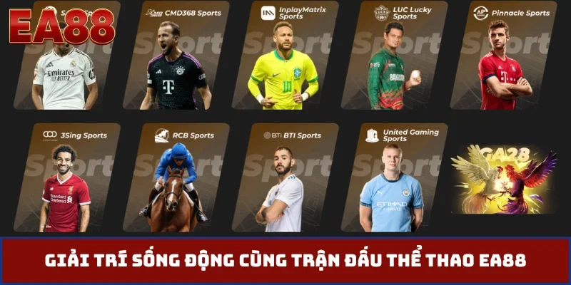 Giải trí sống động cùng trận đấu thể thao EA88