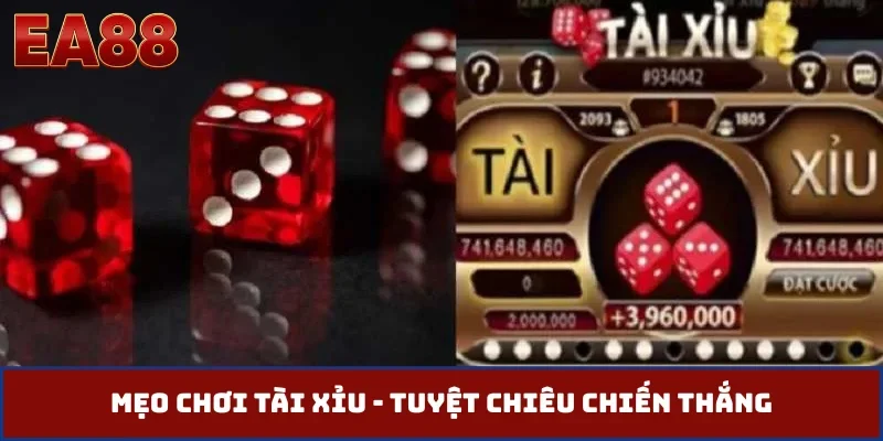 Mẹo chơi tài xỉu