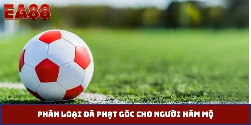 Phân loại đá phạt góc cho người hâm mộ